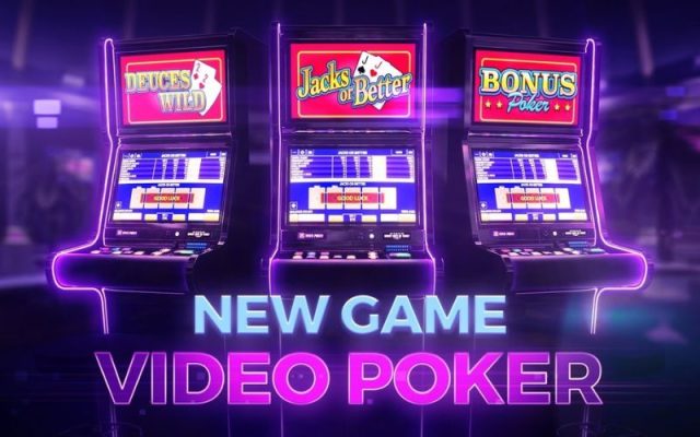 Best Odds in Casino
