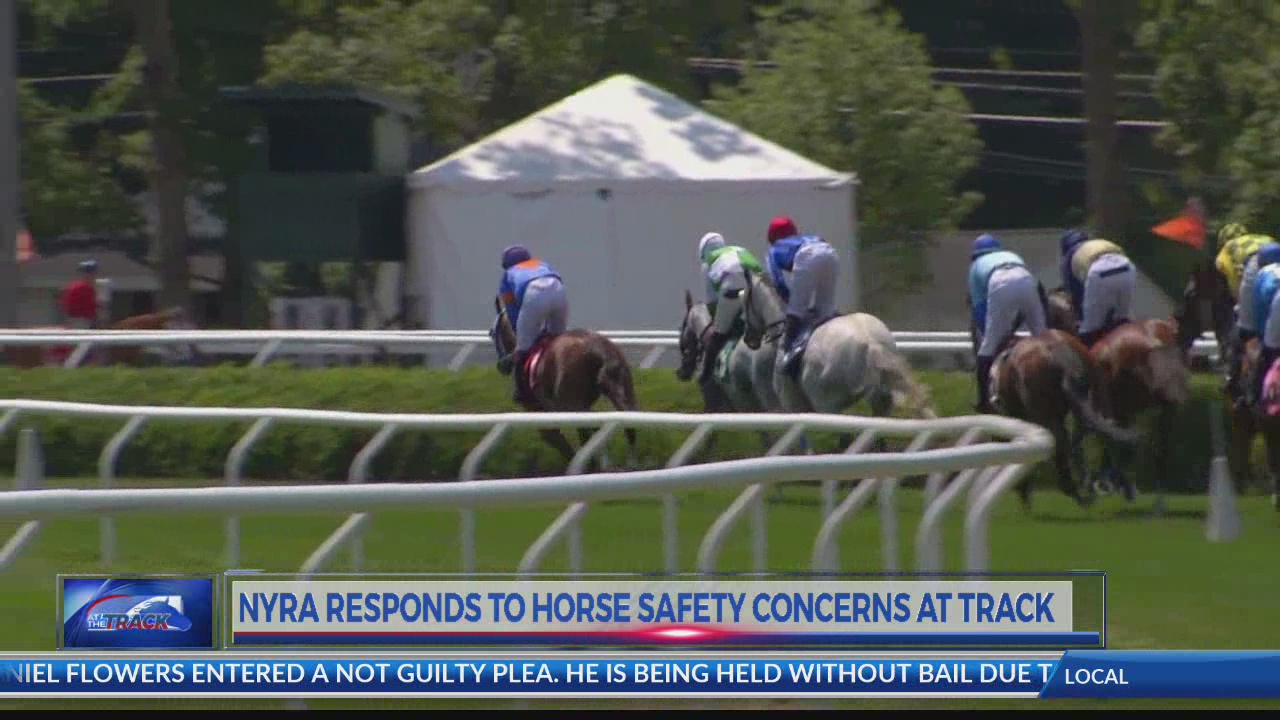 Belmont Stakes to be held at Saratoga as track undergoes $455m renovation |  Belmont Stakes | The Guardian