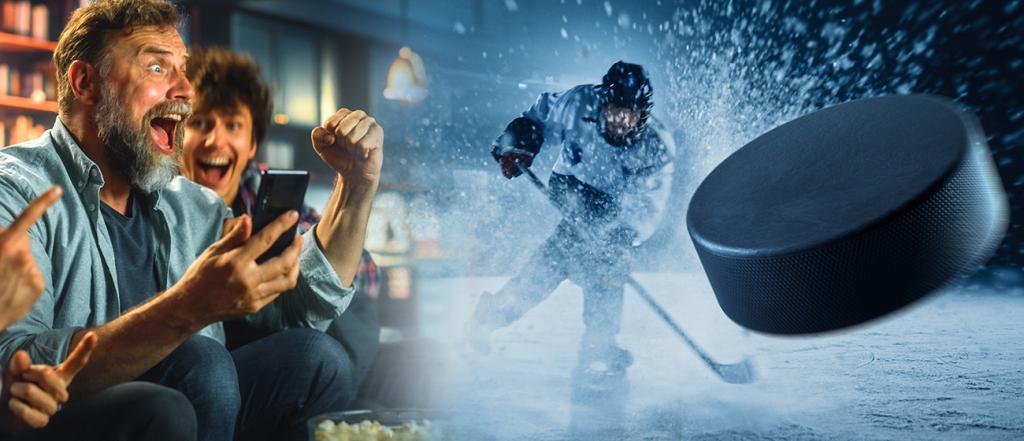 Delaware betting on hockey | How Does It Work? | Tips & Tricks